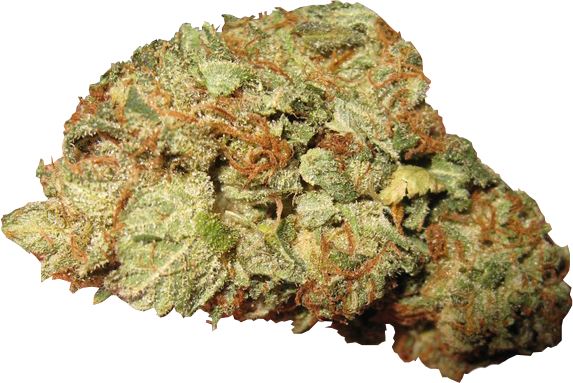 OG Kush