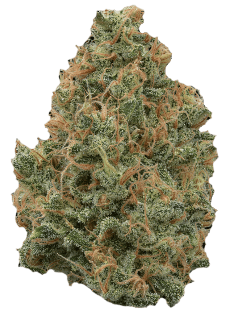 Blue Cheese: The Indica-Dominant Hybrid with a Unique Aroma