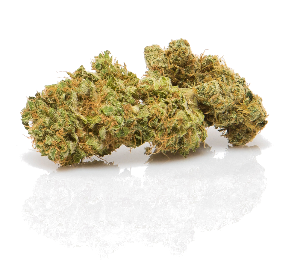 Dutch Treat
