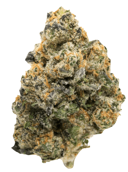 Girl Scout Cookies (GSC)
