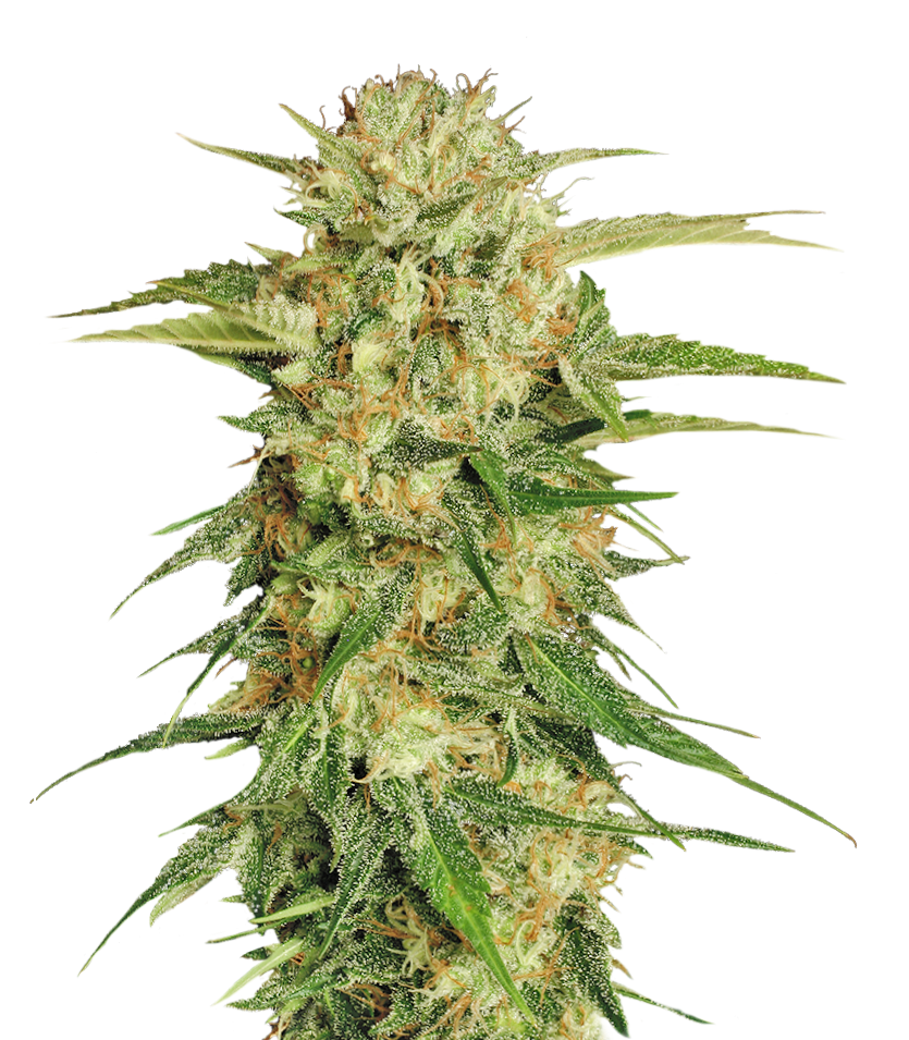 Headband strain