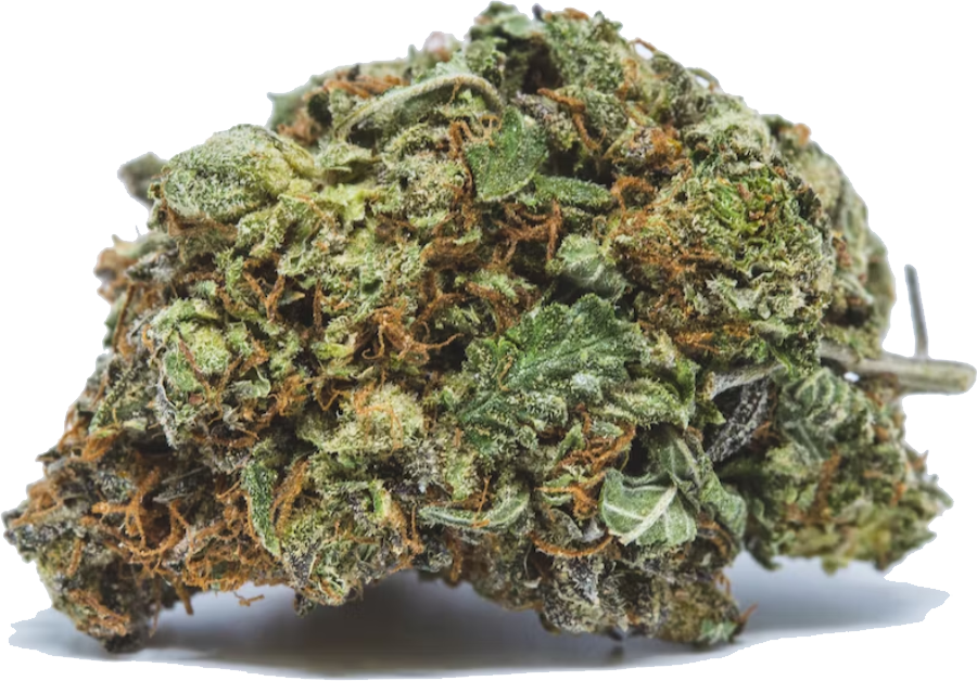 Purple Kush