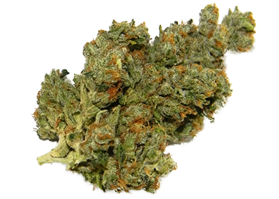 Sour Diesel