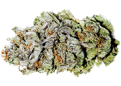 Super Silver Haze: The Energetic Sativa with a Legendary Status