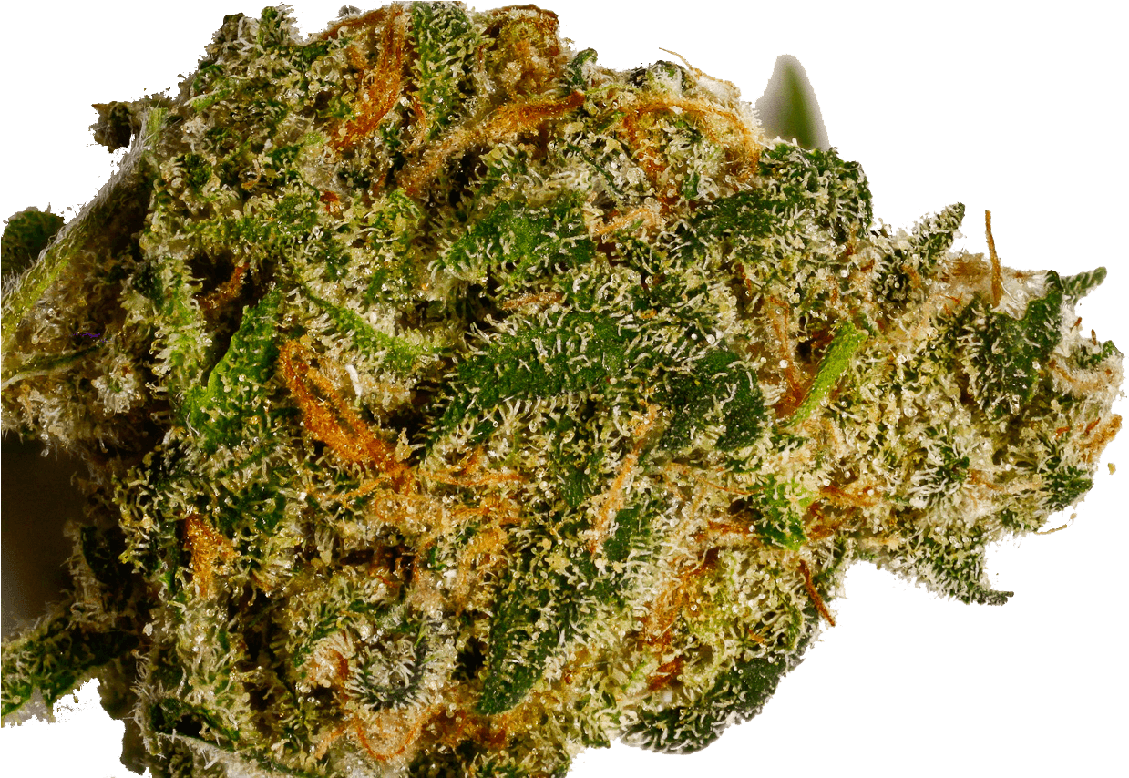 Afghan Kush: The Timeless Indica from the Hindu Kush Mountains