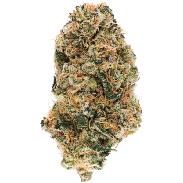Alaskan Thunder Fuck: The Energizing Sativa with a Northern Legacy