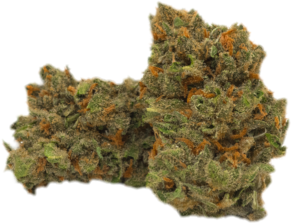 Jack Herer