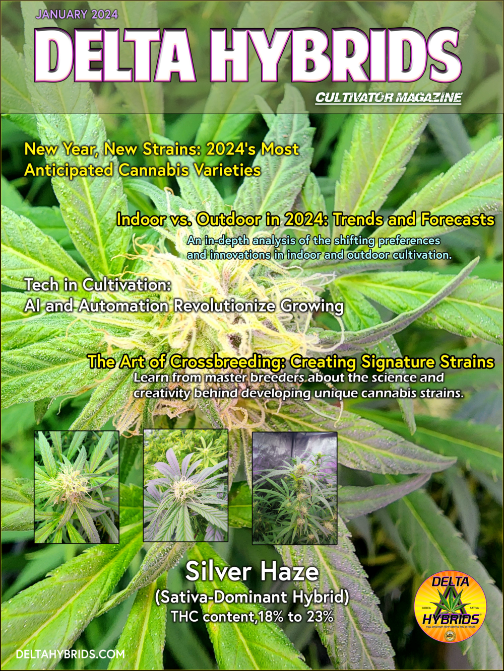 Most Anticipated Cannabis Varieties